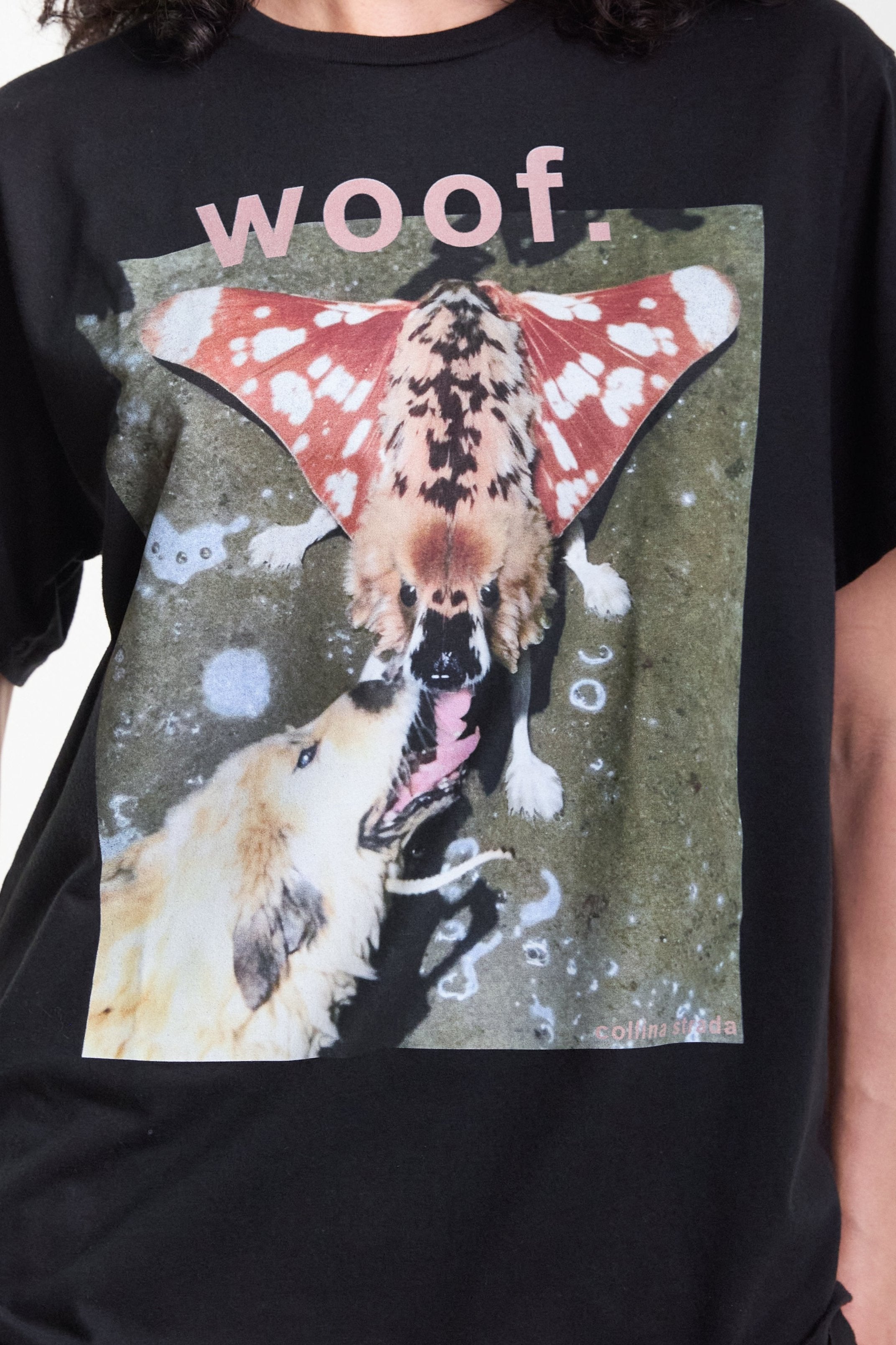 Graphic Tee - Moth Woof