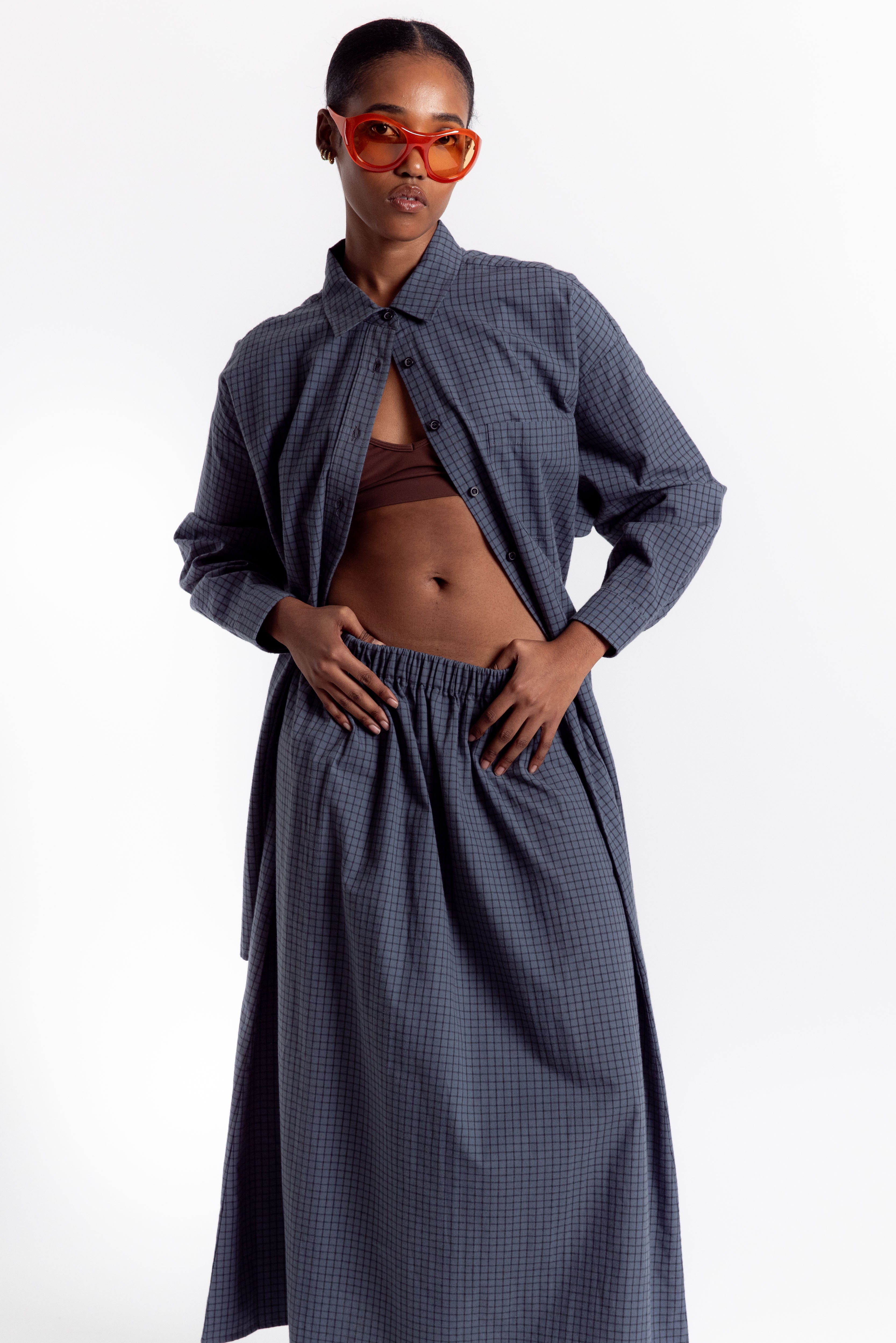 Potus Skirt - Blue Check